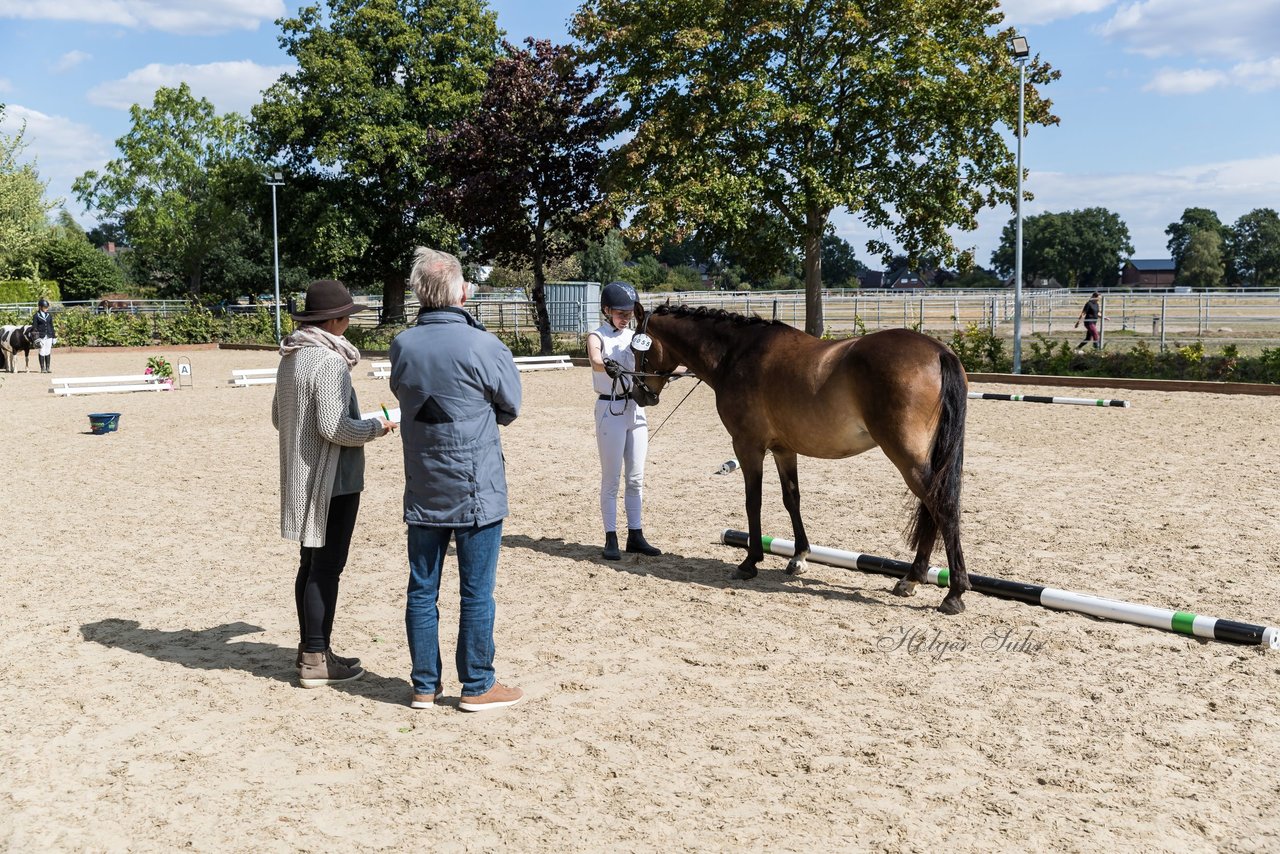Bild 82 - Pony Akademie Turnier